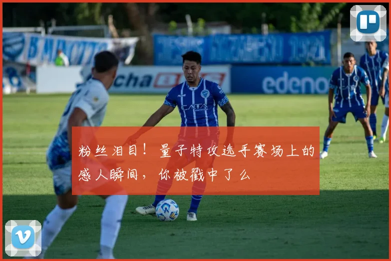 粉丝泪目！量子特攻选手赛场上的感人瞬间，你被戳中了么