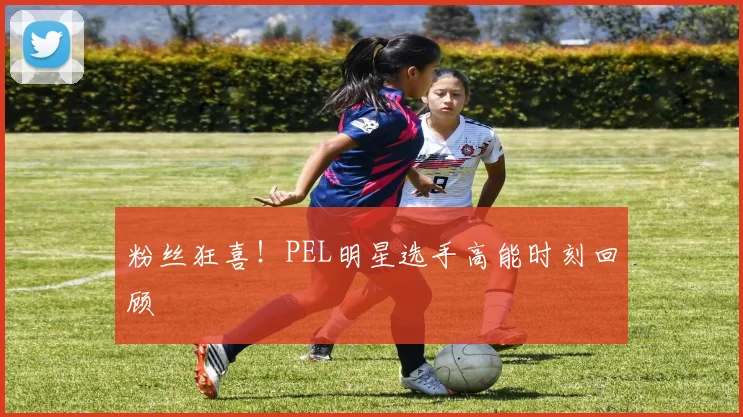 粉丝狂喜！PEL明星选手高能时刻回顾